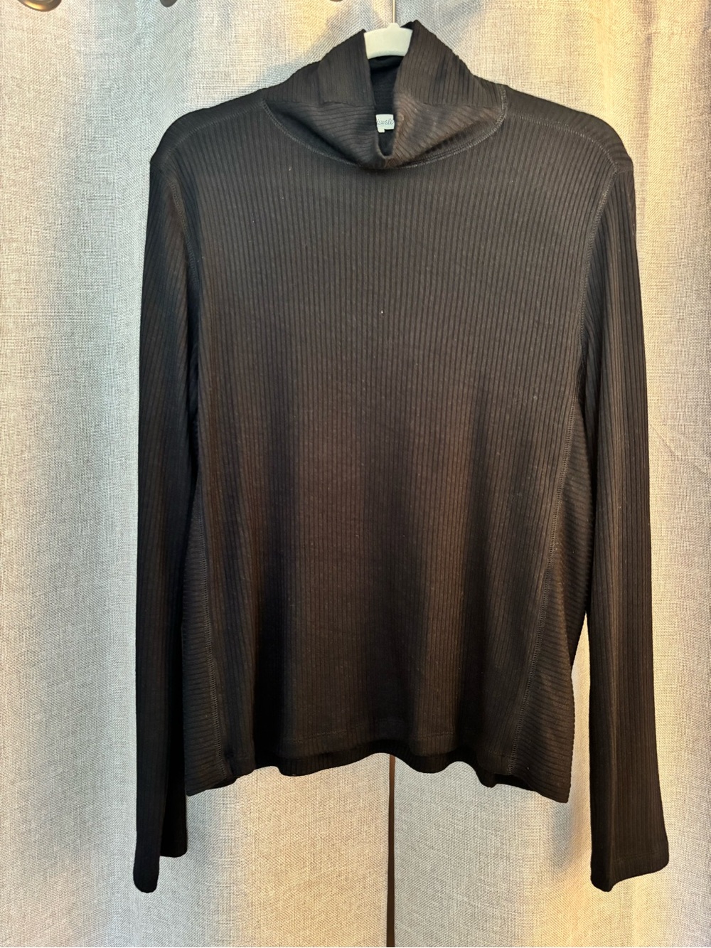 NWOT Madewell Black Ribbed Mock Neck Top, XL